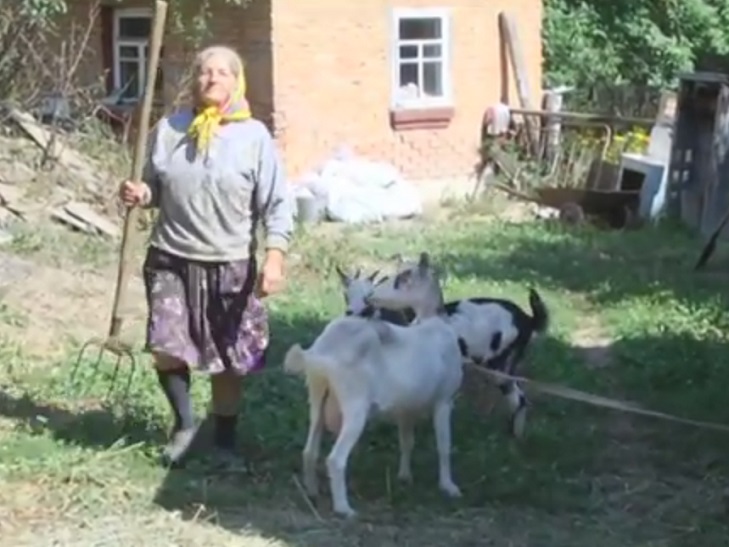 На Ярмолинеччині влаштовують термінове полювання на вовків - фото 1