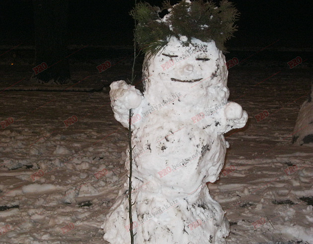 Мешканці Бердянська ліпили зі снігу та бруду різні скульптури  - фото 3