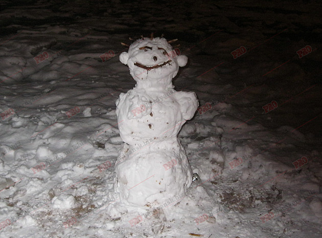 Мешканці Бердянська ліпили зі снігу та бруду різні скульптури  - фото 4