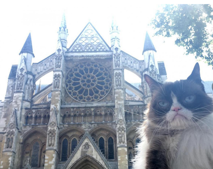 Як Сердитий Котик милувався пам'ятками Лондона - фото 1