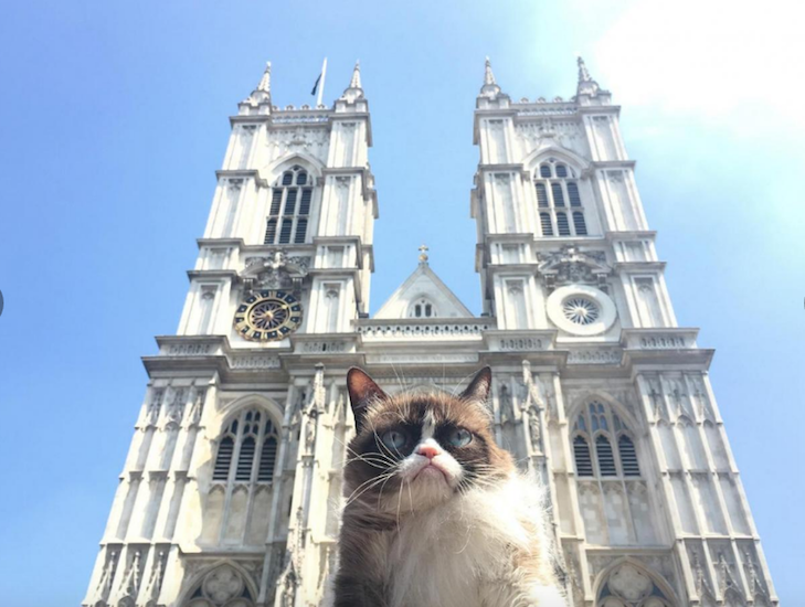 Як Сердитий Котик милувався пам'ятками Лондона - фото 2