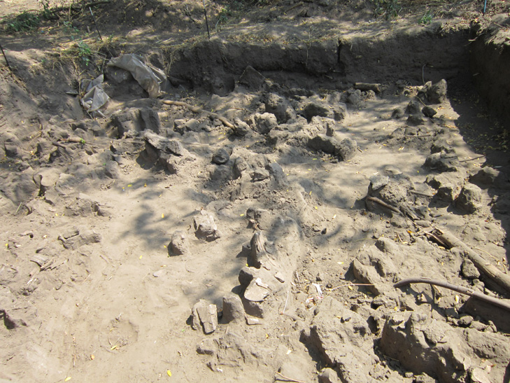На Хортиці викопали велетня з чоловічими та жіночими рисами - фото 7