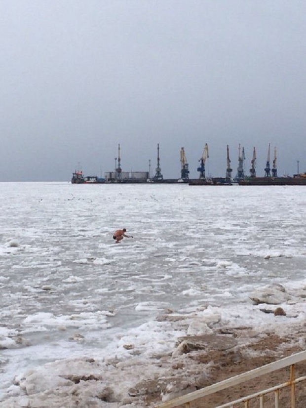 На Бердянській затоці вчора, 21 січня, було помічено справжнього моржа-рибалку - фото 1