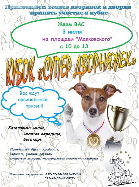 В Запоріжжі пройде конкурс дворових собак  - фото 1