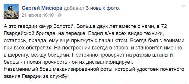 За що в АТО треба поставити пам'ятник котам і... гусям - фото 6 За що в АТО треба поставити пам'ятник котам і... гусям - фото 6