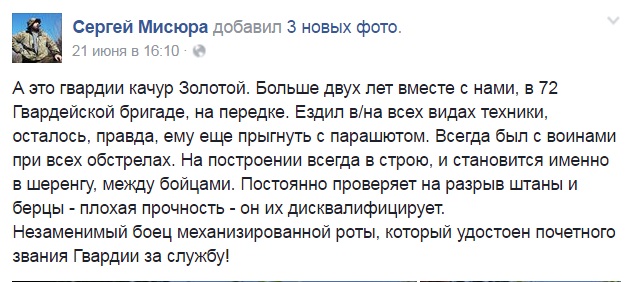 За що в АТО треба поставити пам'ятник котам і... гусям - фото 6