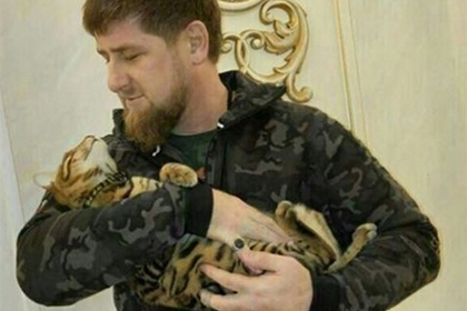 Кадиров пожалівся у Instagram'і, що від нього втекла кішка - фото 1