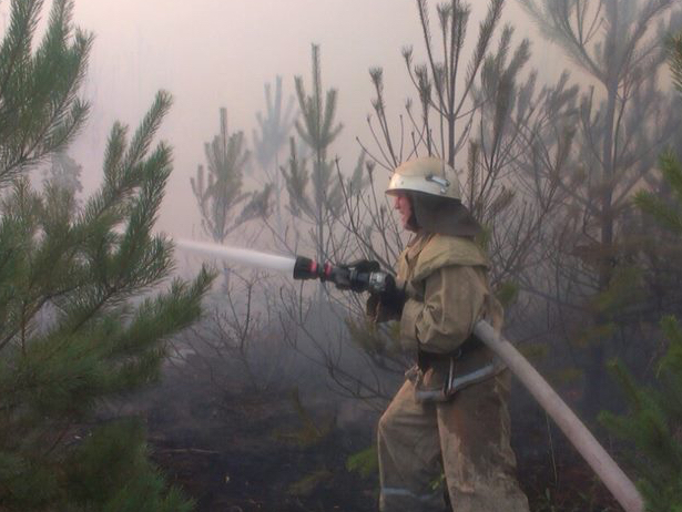 На Ізяславщині горить 50 гектарів лісу - фото 3