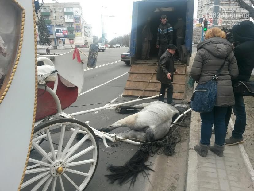 У центрі Маріуполя помер кінь, який віз молодят (ФОТО) - фото 1