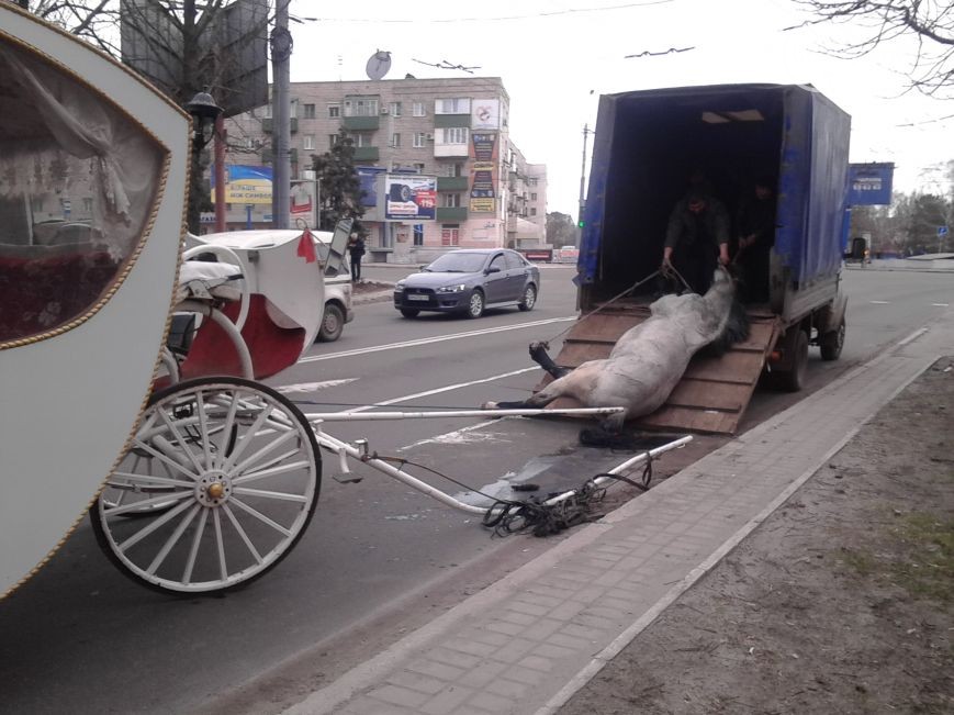 У центрі Маріуполя помер кінь, який віз молодят (ФОТО) - фото 2