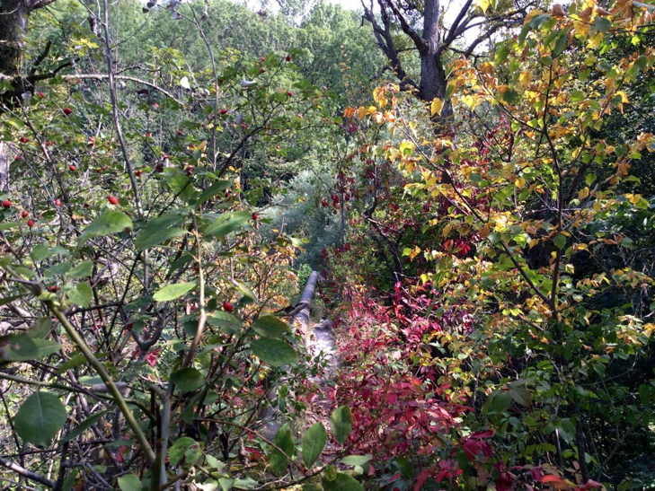 Найдивовижніший водоспад Хмельниччини залишається поза увагою туристів - фото 6
