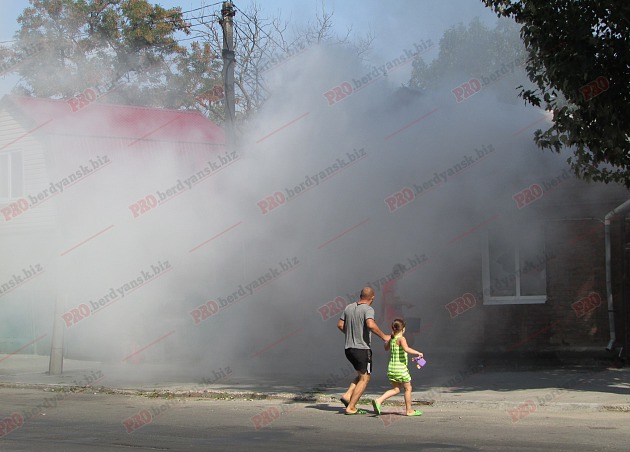 У Бердянську пожежу в житловому будинку гасили усією вулицею - фото 1