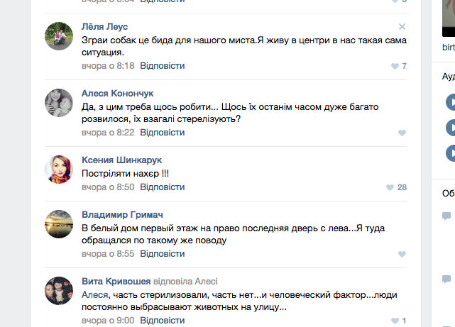 Славутчани потерпають від бродячих псів - фото 4 Славутчани потерпають від бродячих псів - фото 4