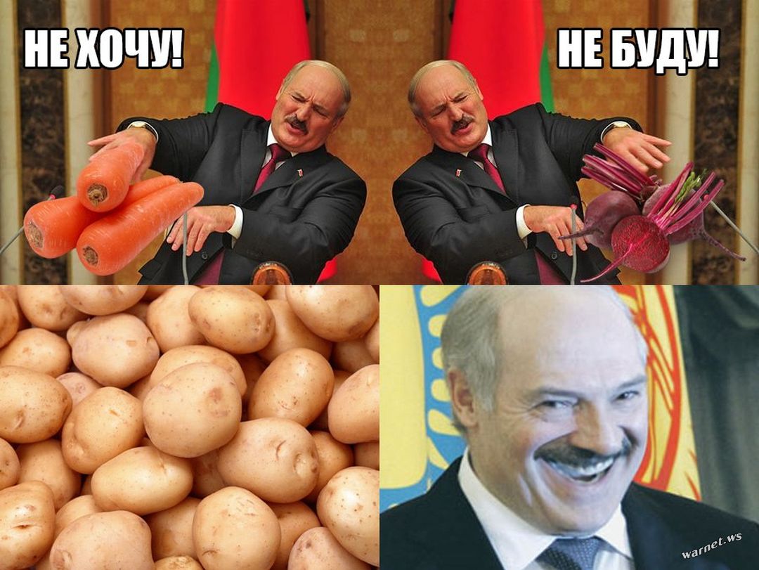 Лукашенко про Пугачову з праски, накладання вето на табу та шахраїв на Росії: 26 цитат - фото 2