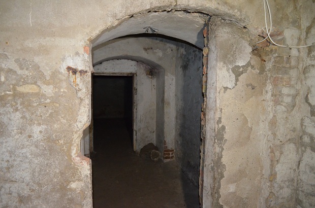 Старовинний замок на Запоріжжі розкриває свої підземні таємниці - фото 5
