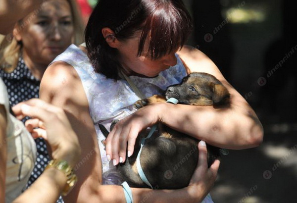 У Дніпрі провели виставку врятованих з АТО собак - фото 1