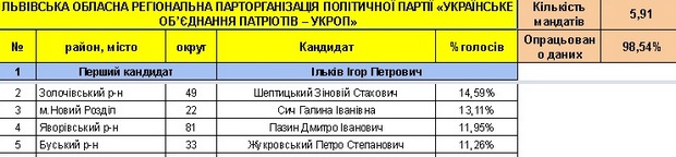 Хто став депутатами нової Львівської облради (СПИСОК) - фото 6