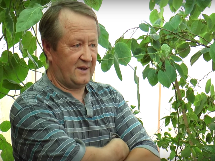 Хмельничанин вирощує 45 сортів цитрусових - фото 3 Хмельничанин вирощує 45 сортів цитрусових - фото 3