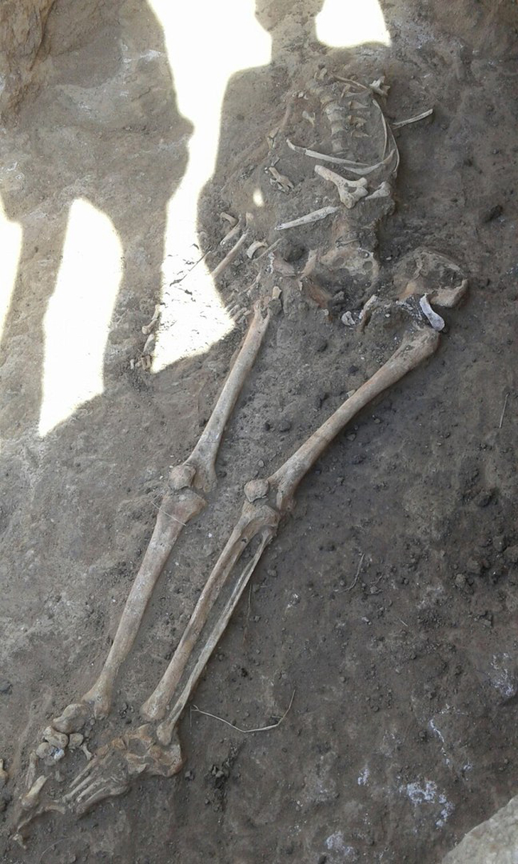 Під Мелітополем знайшли древні людські останки - фото 1