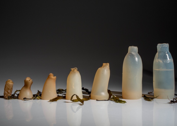 Студент винайшов пляшки з водоростей, які розкладаються - фото 1