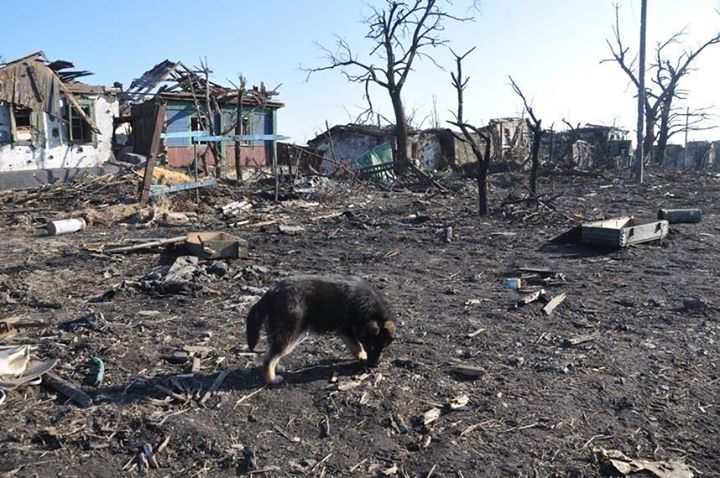 Що лишилось від села Нікішиного під контролем "ДНР" (ФОТО) - фото 5