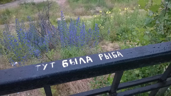 Як столичні вандали спотворюють перони міської електрички - фото 1 Як столичні вандали спотворюють перони міської електрички - фото 1