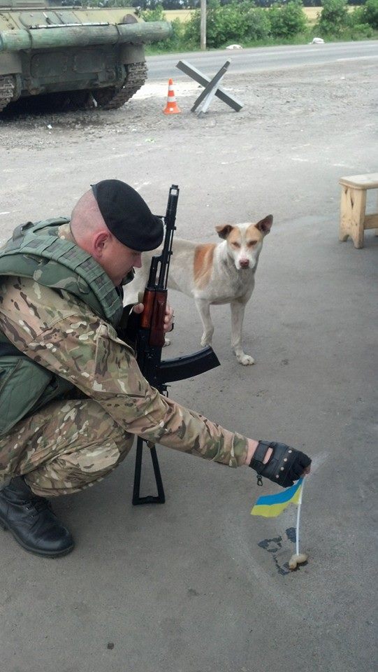 Чим займаються на Донбасі найкращі друзі бійців АТО - 6 - фото 2