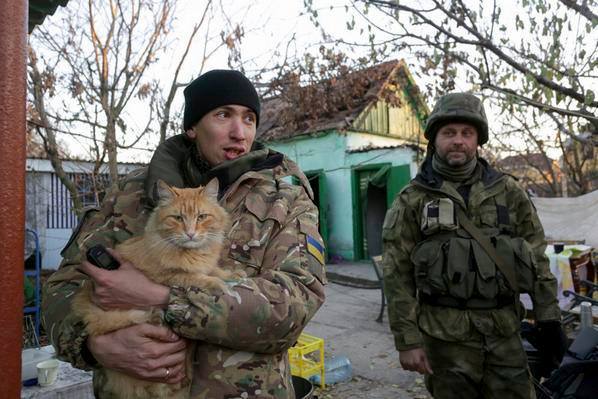 До Міжнародного дня котів: Як мурчики рятують Україну - фото 12