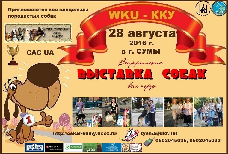 В Сумах відбудеться Всеукраїнська виставка собак всіх порід - фото 1
