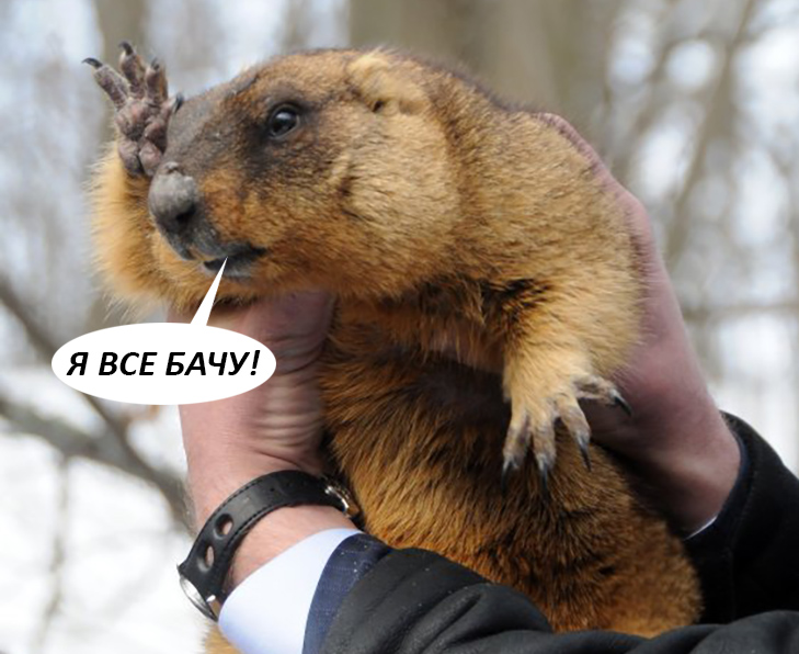 Прогнози бабака (ФОТОЖАБИ) - фото 1