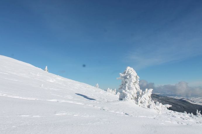 Зима вже дісталася до Драгобрату: снігу намело чимало - фото 2