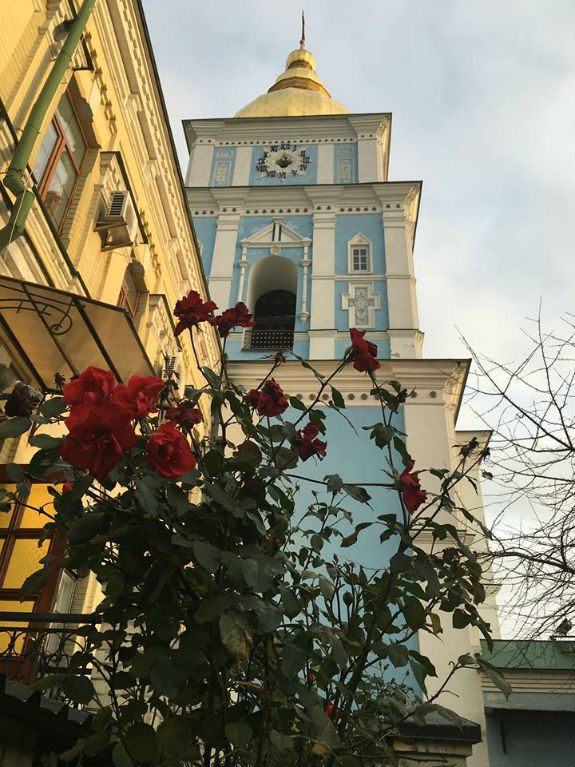 Природна аномалія: У грудневому Києві зацвіли троянди - фото 2