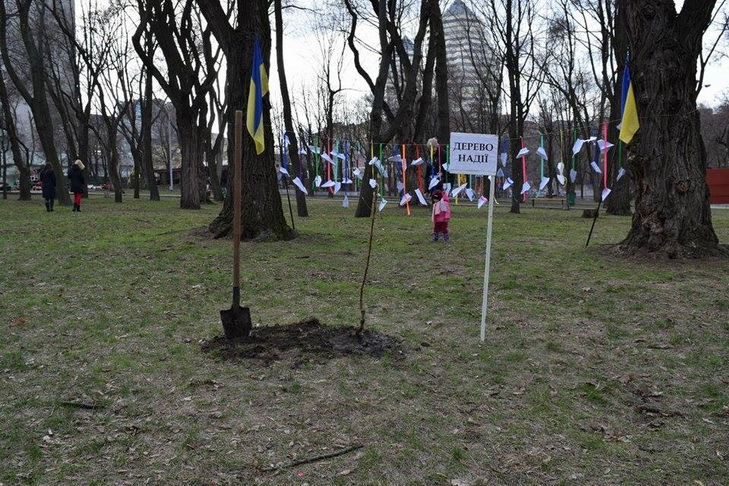 У Дніпропетровську на підтримку Савченко висадили дерево - фото 1