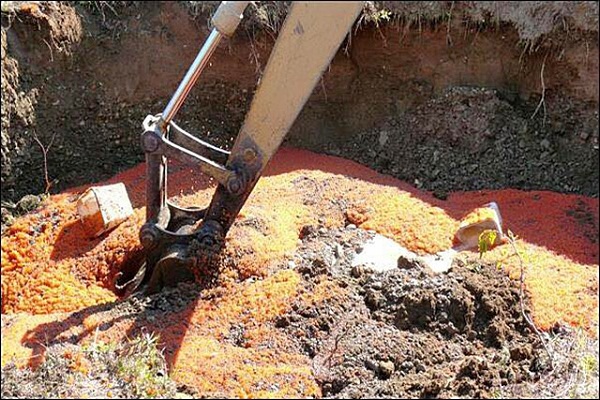 На Камчатці знищили більше чотирьох тонн свіжої червоної ікри (ФОТО) - фото 7