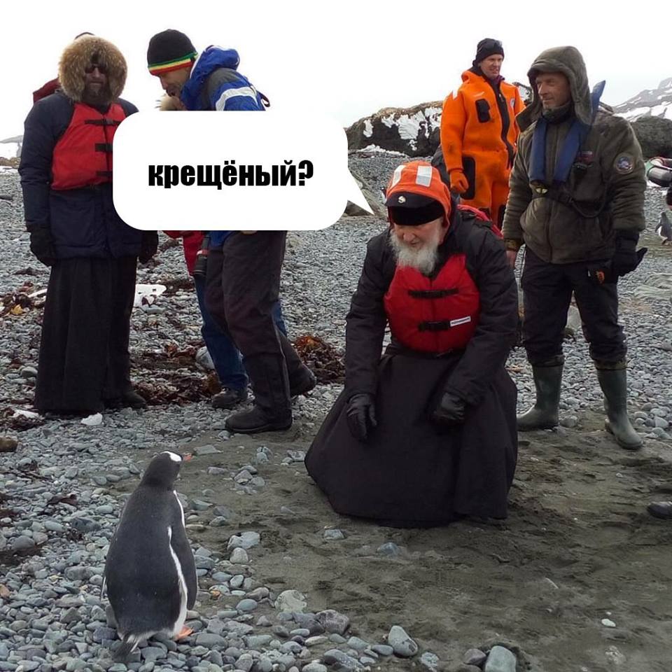 Як Гундяєв пінгвінів в Антарктиді хрестив (ФОТОЖАБИ) - фото 14