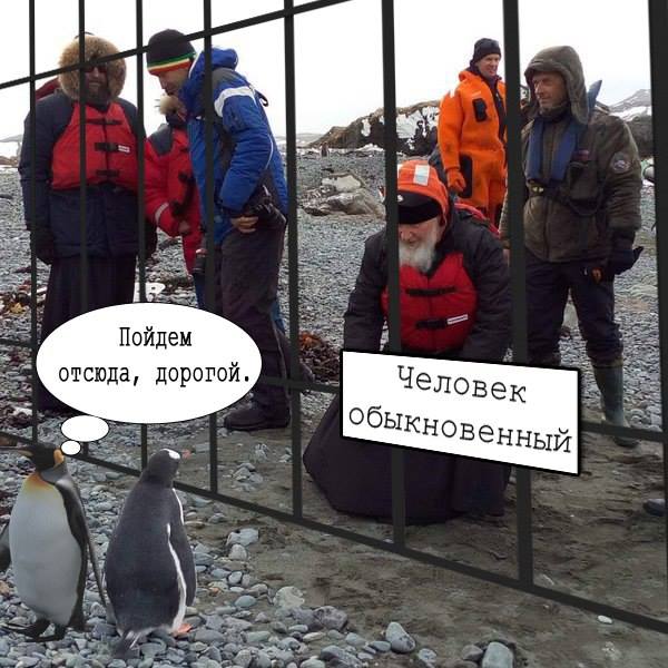 Як Гундяєв пінгвінів в Антарктиді хрестив (ФОТОЖАБИ) - фото 13