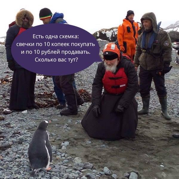 Як Гундяєв пінгвінів в Антарктиді хрестив (ФОТОЖАБИ) - фото 10