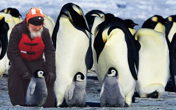 Як Гундяєв пінгвінів в Антарктиді хрестив (ФОТОЖАБИ) - фото 8