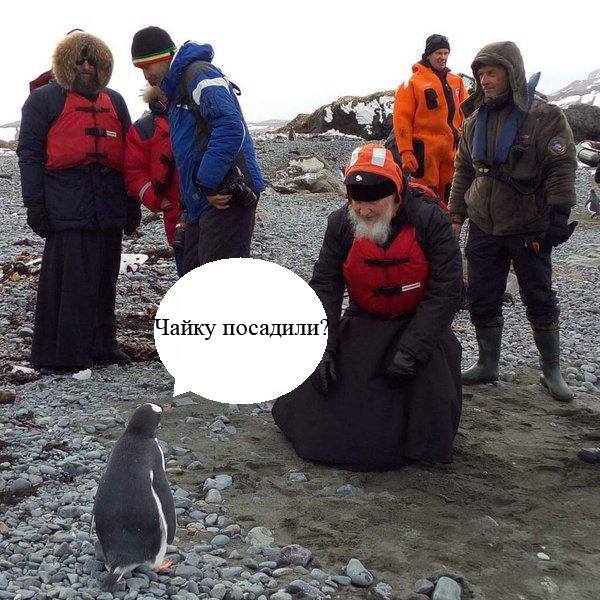 Як Гундяєв пінгвінів в Антарктиді хрестив (ФОТОЖАБИ) - фото 7