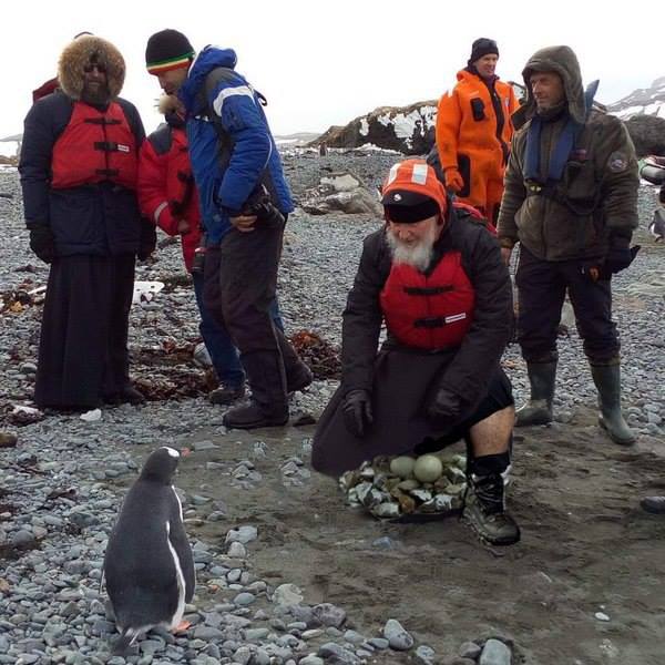 Як Гундяєв пінгвінів в Антарктиді хрестив (ФОТОЖАБИ) - фото 6