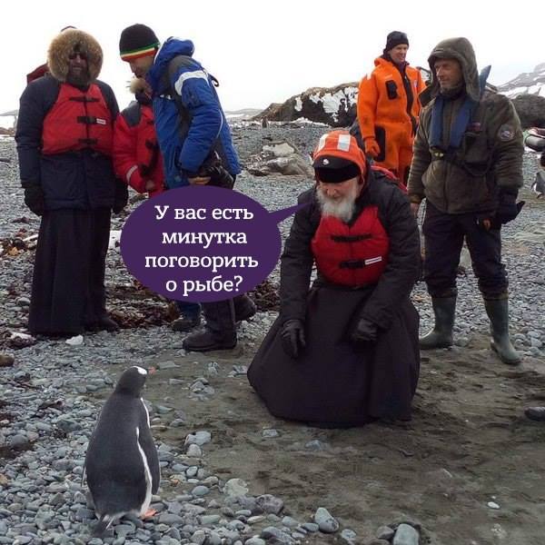 Як Гундяєв пінгвінів в Антарктиді хрестив (ФОТОЖАБИ) - фото 4