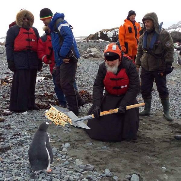 Як Гундяєв пінгвінів в Антарктиді хрестив (ФОТОЖАБИ) - фото 3