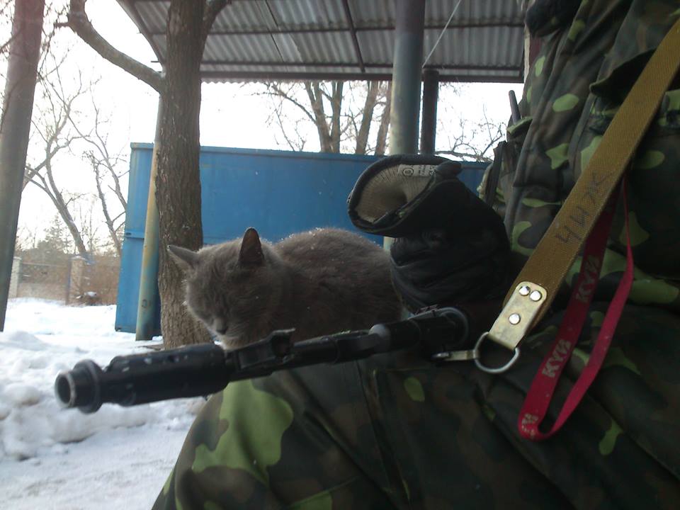 Мімішні бійці: Коти-кулеметники в АТО - фото 2
