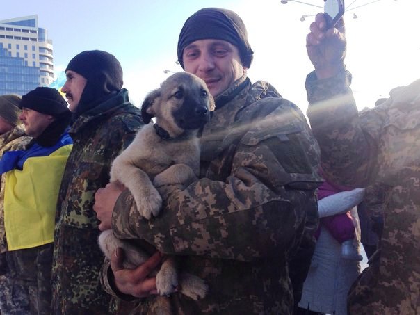 Чим займаються на Донбасі найкращі друзі бійців АТО-3 - фото 18