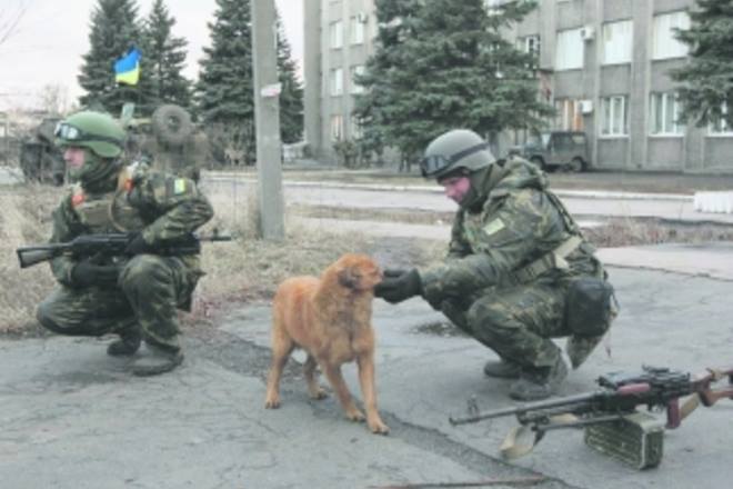 Чим займаються на Донбасі найкращі друзі бійців АТО-3 - фото 5