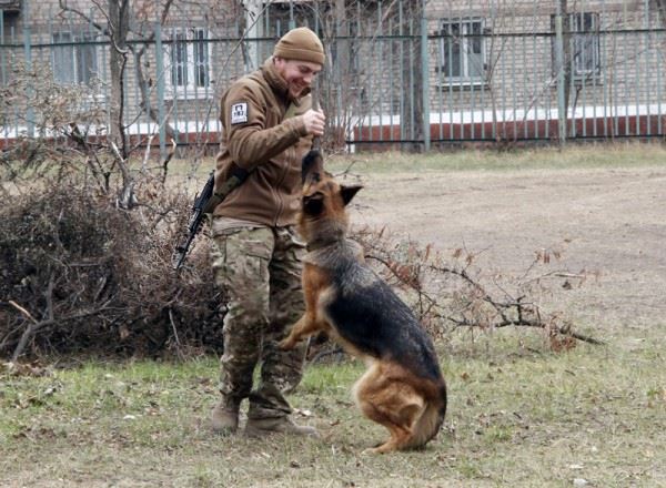 Чим займаються на Донбасі найкращі друзі бійців АТО-3 - фото 6