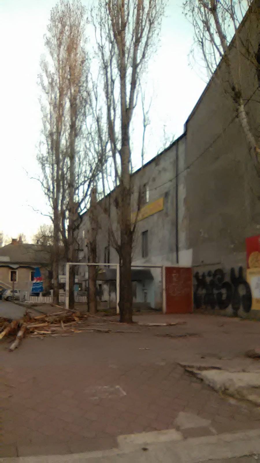 Повилазило: у Миколаєві комунальники два тижні не бачили поламаного дерева - фото 1