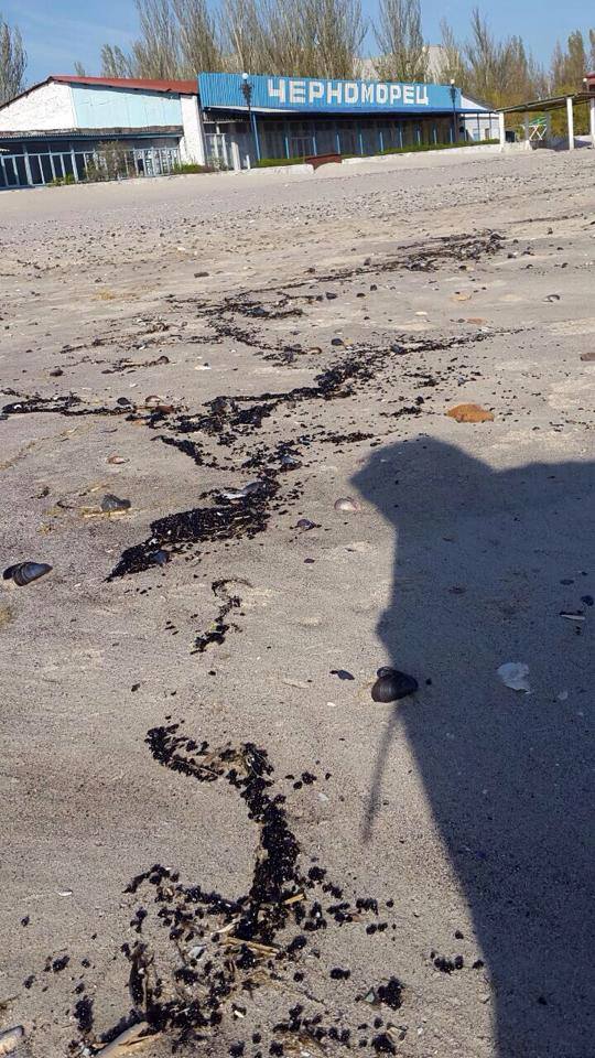 Узбережжя Коблево вкрилось плямами нафти - фото 3
