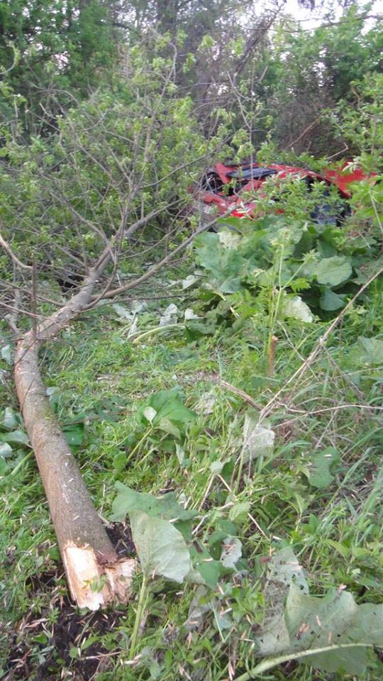 На Дніпропетровщині через яму автівка врізалась у дерево - фото 2