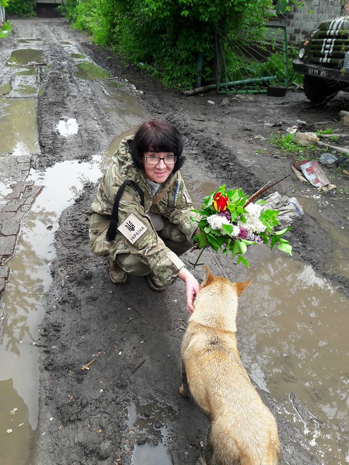 Миколаївські волонтери похизувались фото фронтових котів та собак в зоні АТО - фото 7